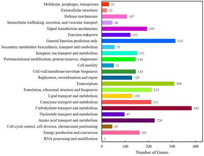 Physiological and transcriptional studies reveal Cr(VI) reduction mechanisms in the exoelectrogen Cellulomonas fimi Clb-11